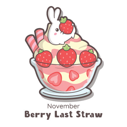 SumLilThings Subscription - November Strawberry