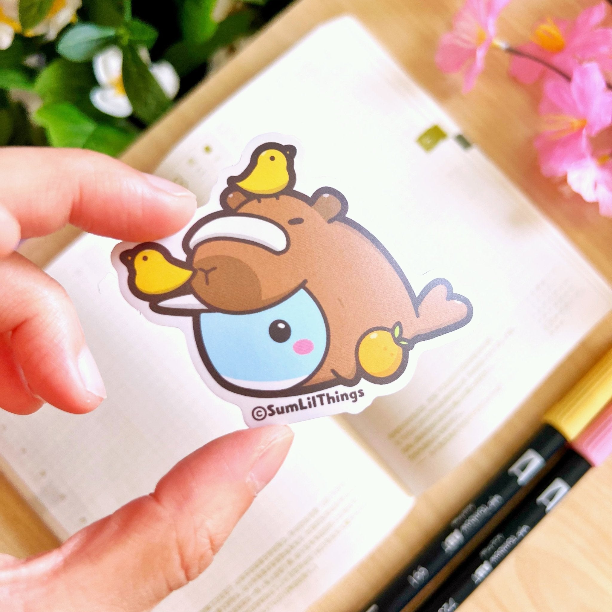 Vinyl Sticker - Capybara Narnar - SumLilThings