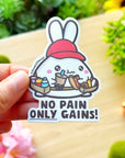 Vinyl Sticker - No Pain Only Gains! - SumLilThings
