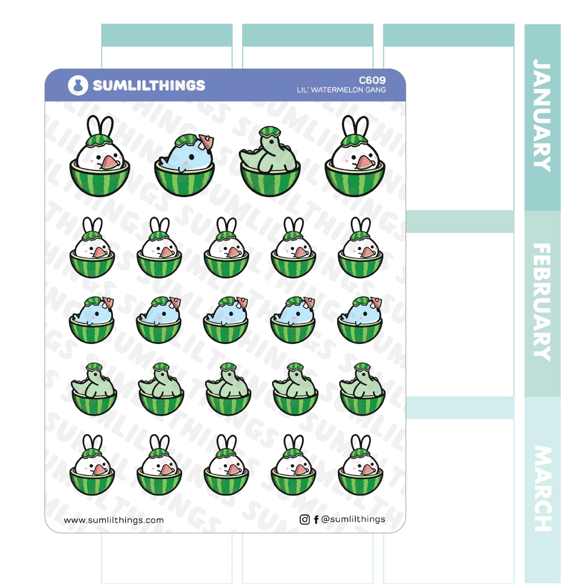 Lil' Watermelon Stickers - SumLilThings