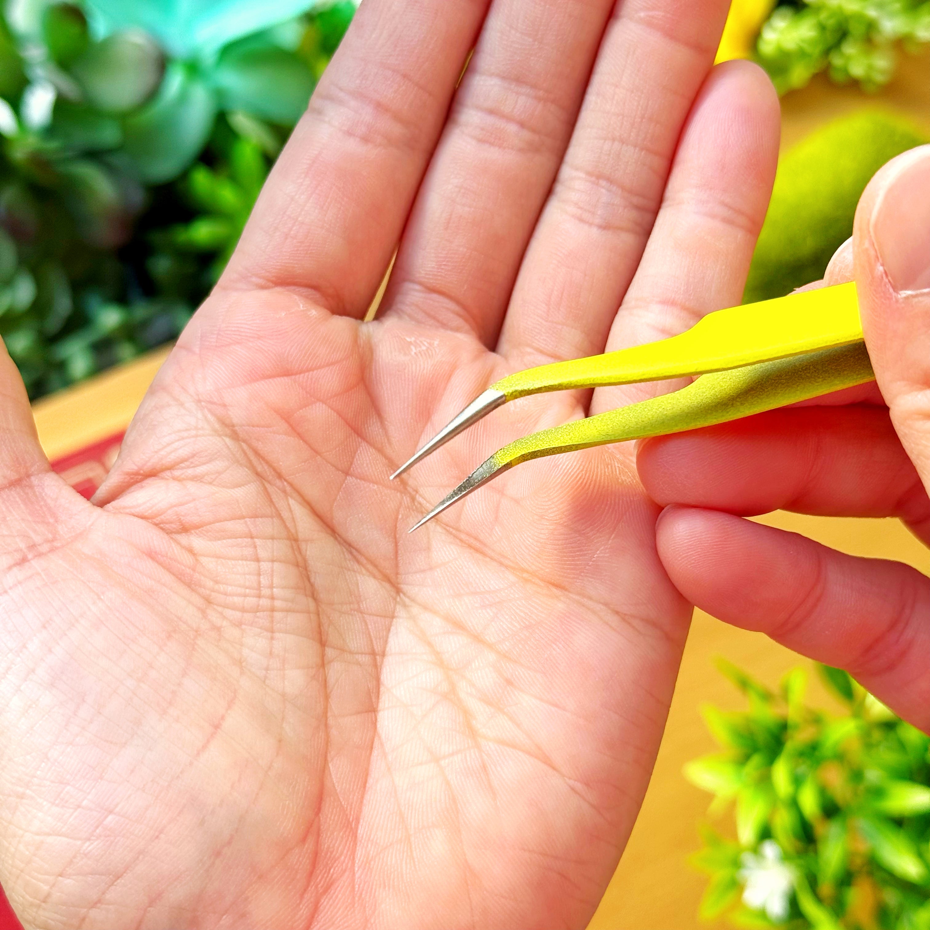 Enamel Tweezer - Dino Chichi (Curved Point)
