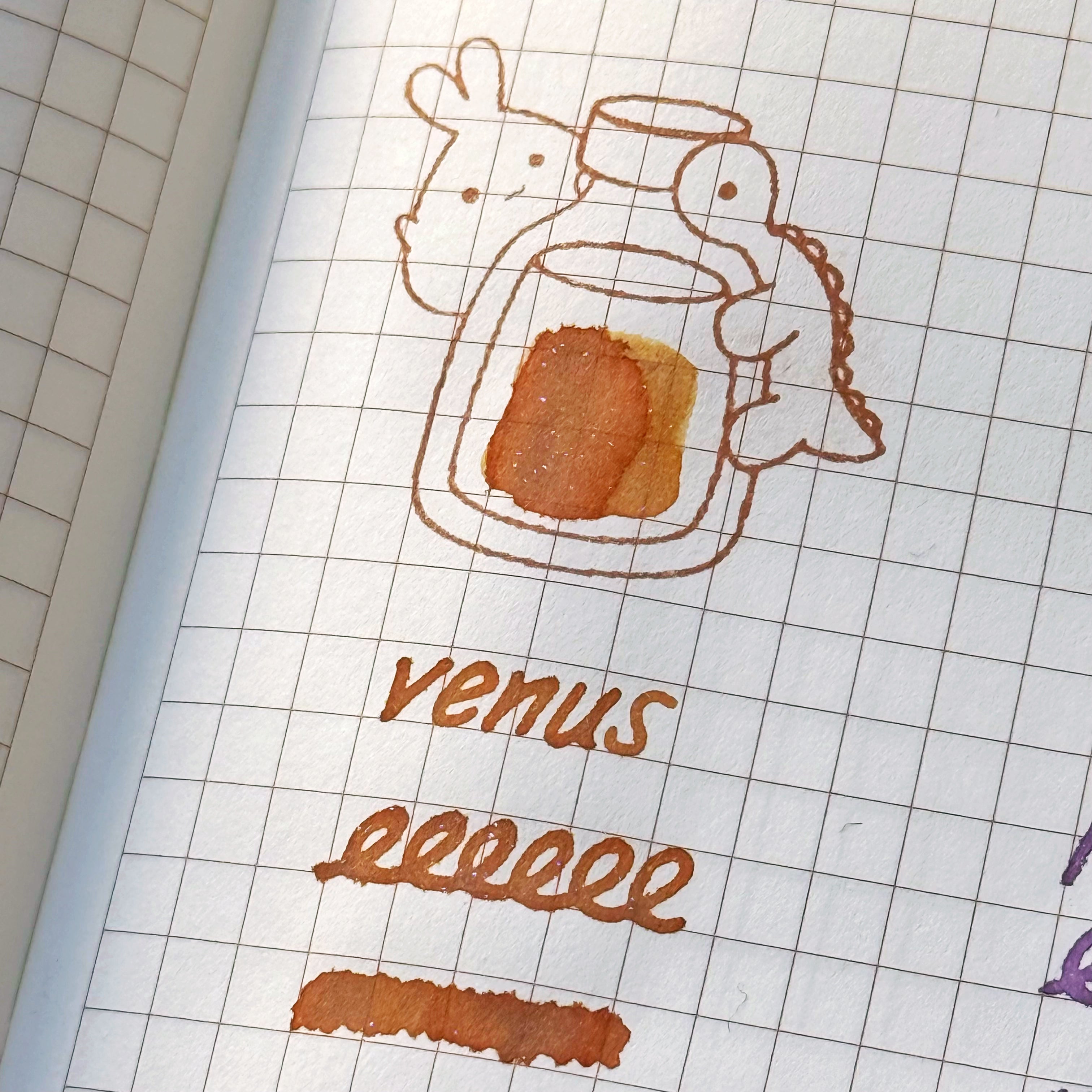 Venus (Shimmer Fountain Pen Ink)