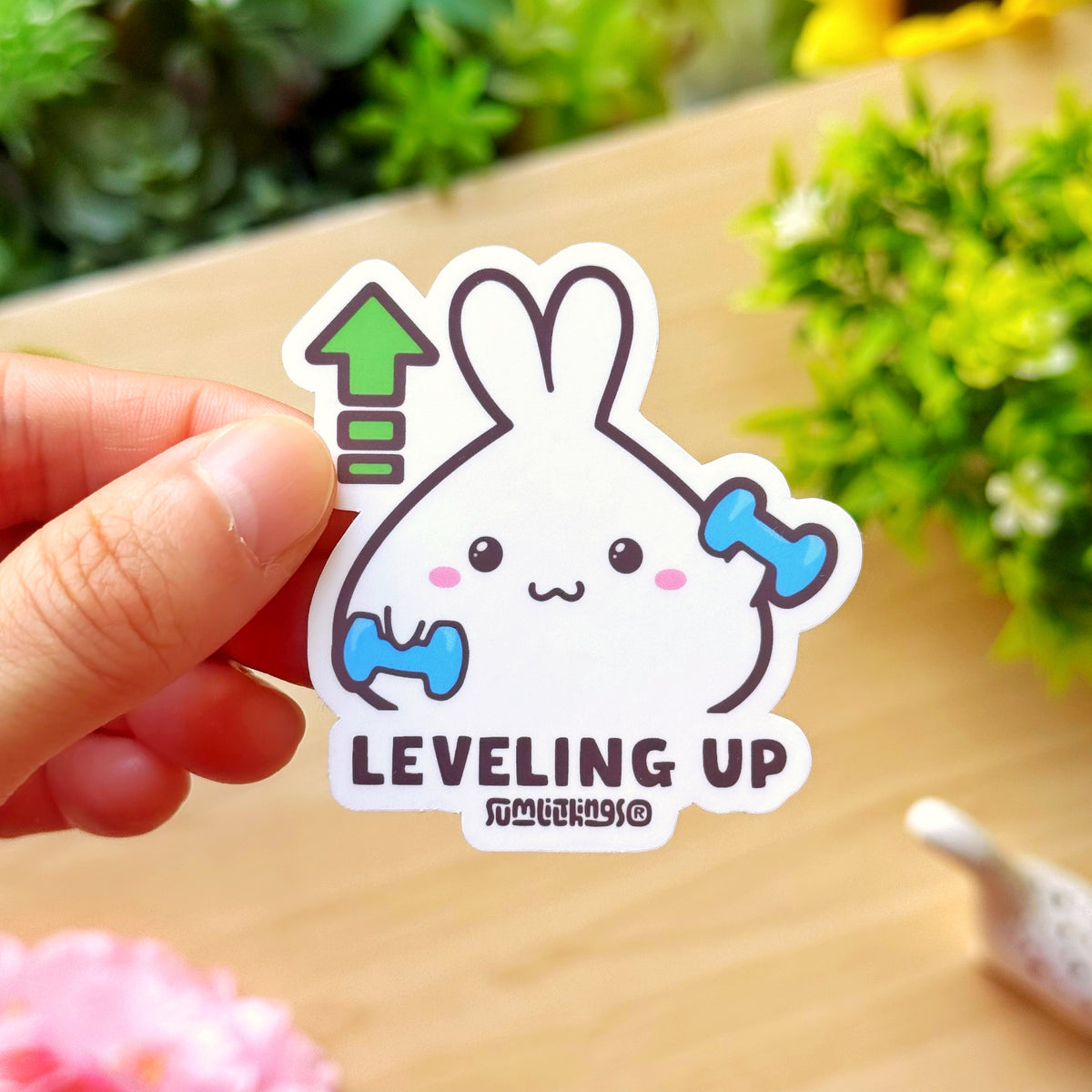 Leveling Reference Sticker Vinyl Sticker - Leveling Up – SumLilThings