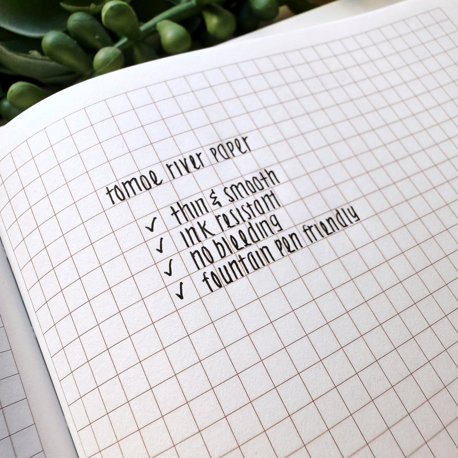 B6 Tomoe River Paper Notebook & Sticker Set - Lil' Red Riding Tales (LIMITED EDITION) - SumLilThings