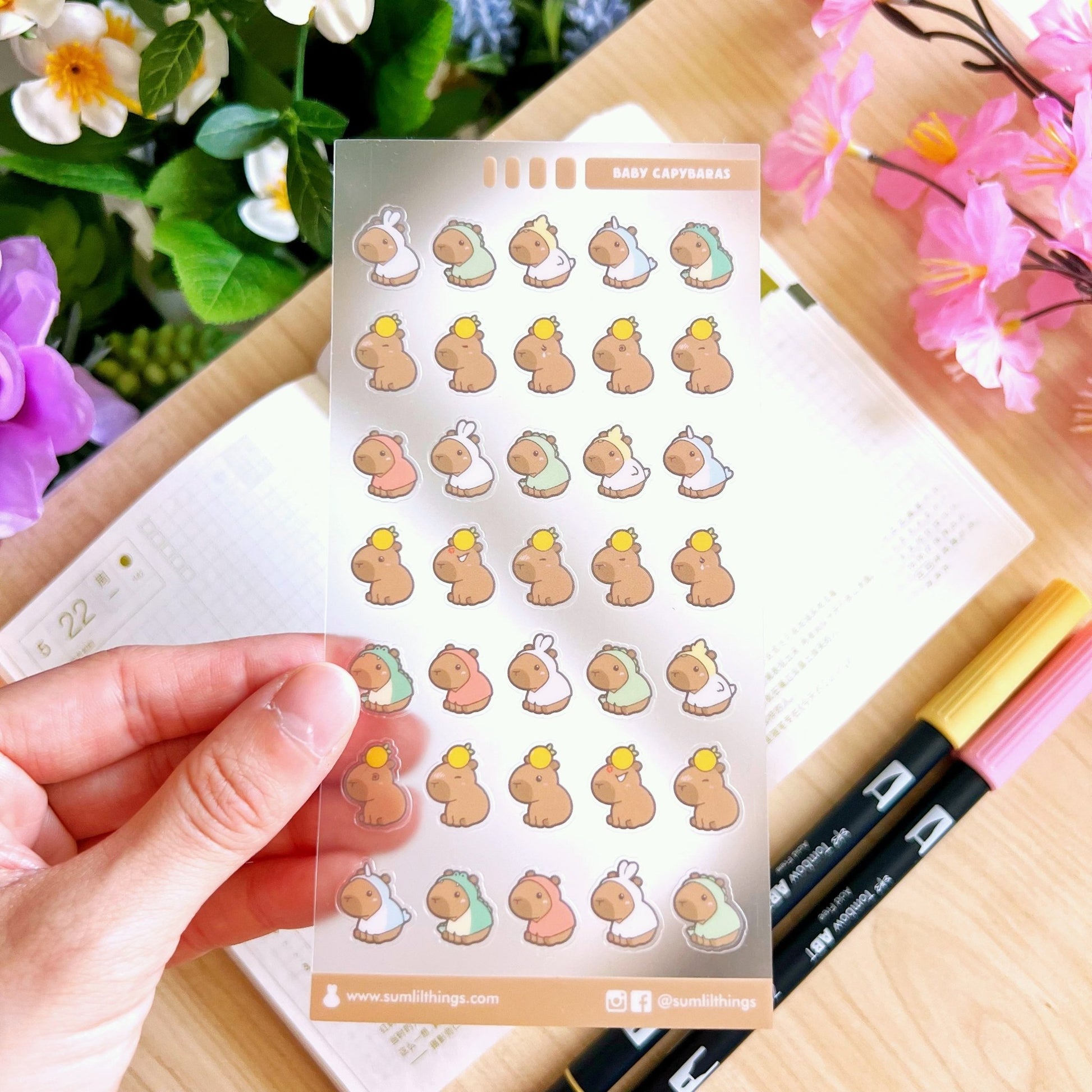 Be Capy & Chill Booster Pack (14 Items) - 20% OFF - SumLilThings