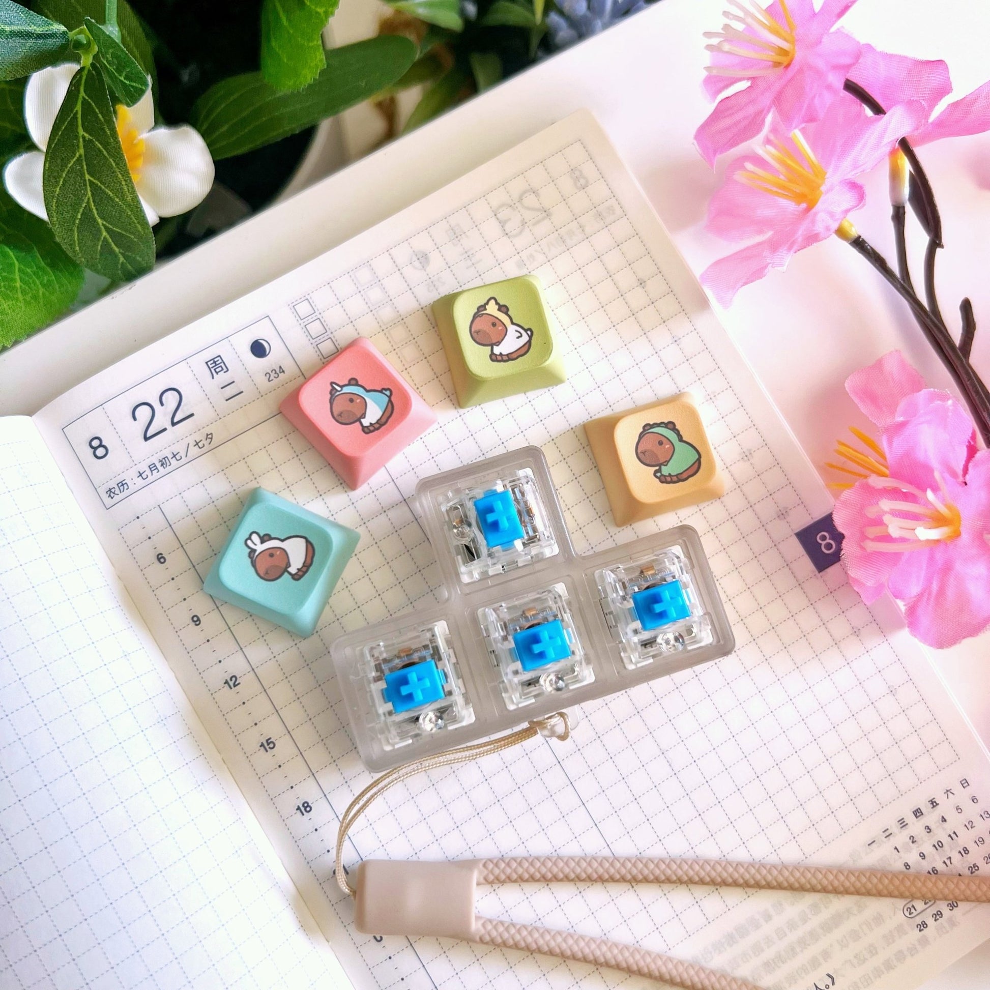 Be Capy & Chill Mega Pack (25 Items) - 30% OFF - SumLilThings