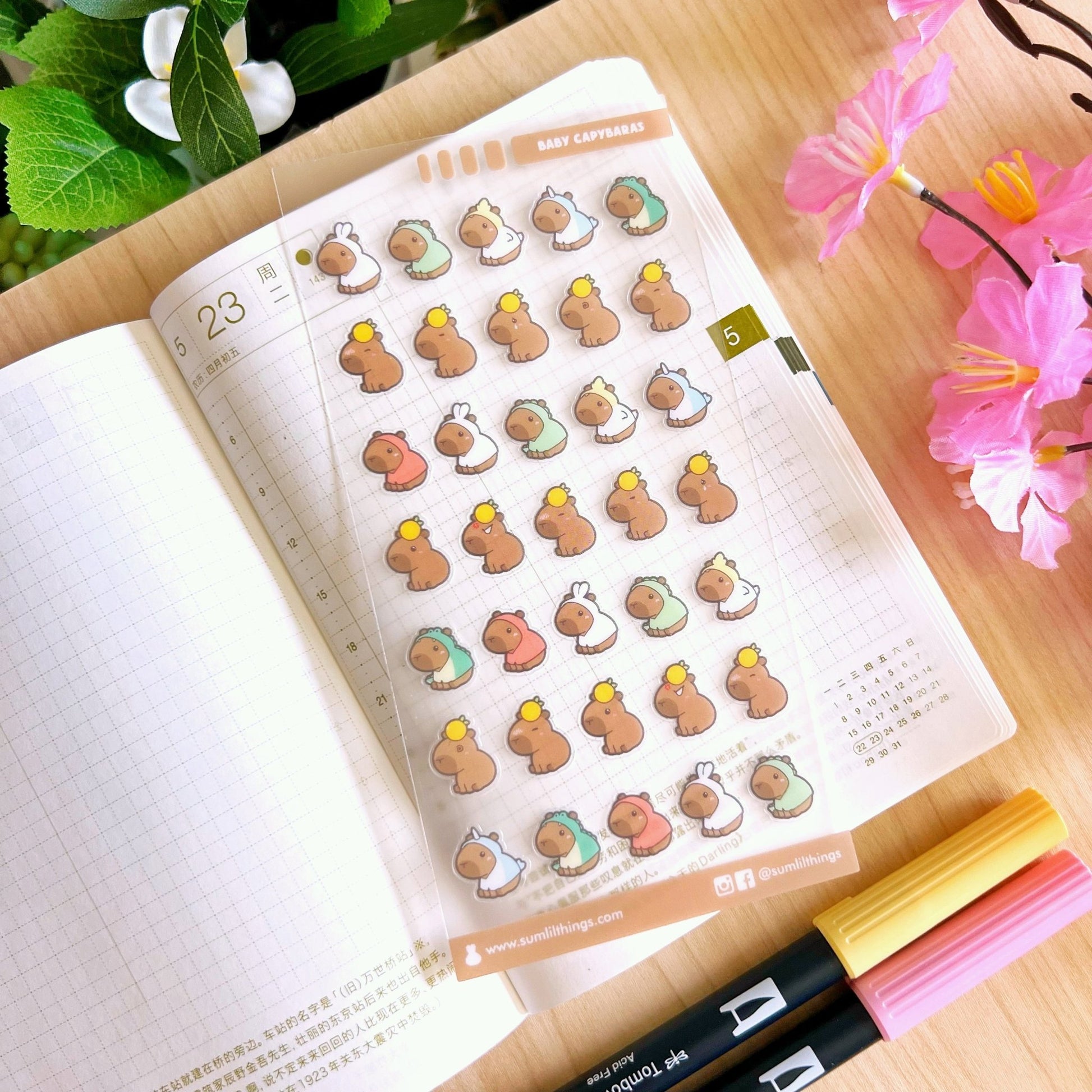 Be Capy & Chill Mega Pack (25 Items) - 30% OFF - SumLilThings