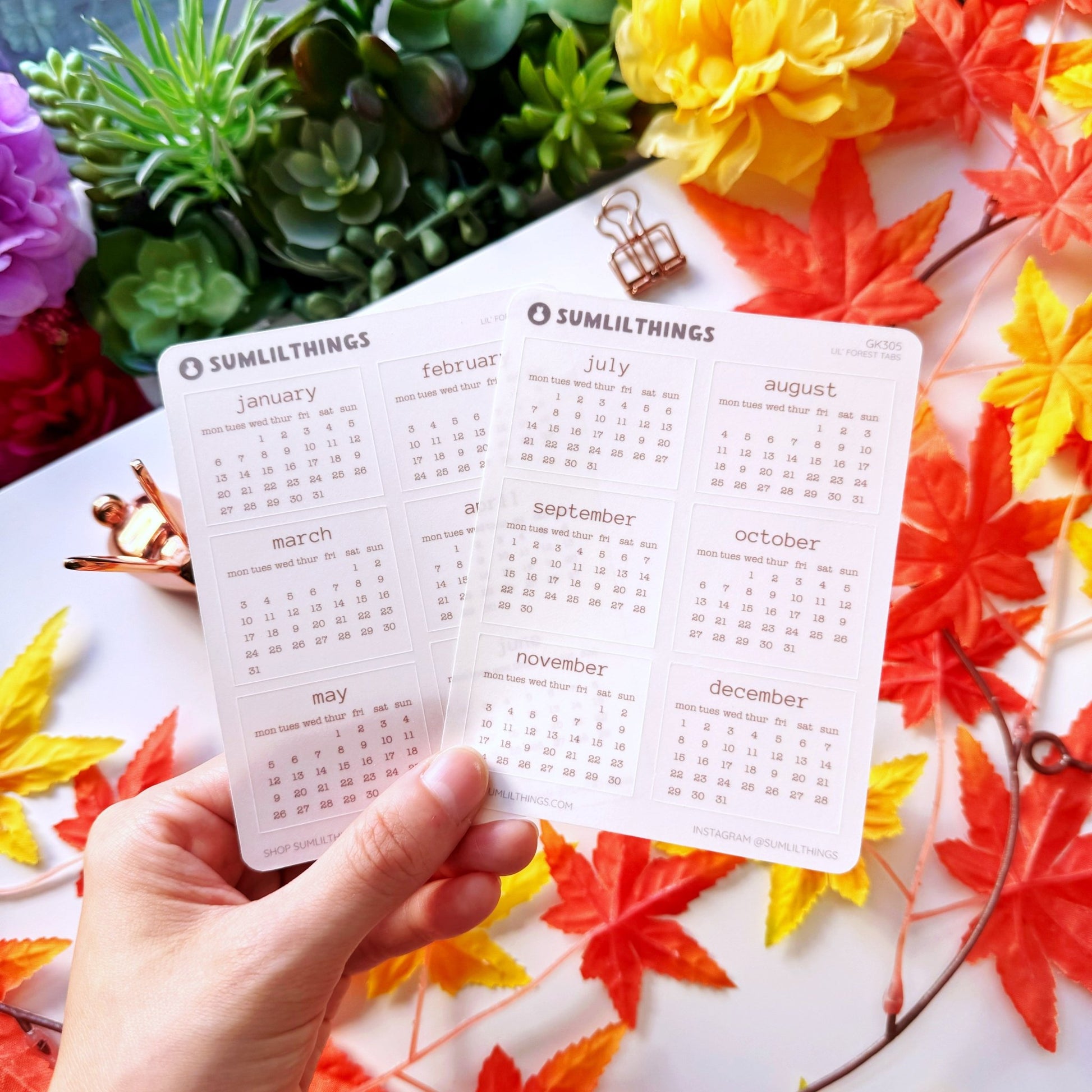 Bundle - Lil' Red Riding Tales (48% OFF) - SumLilThings