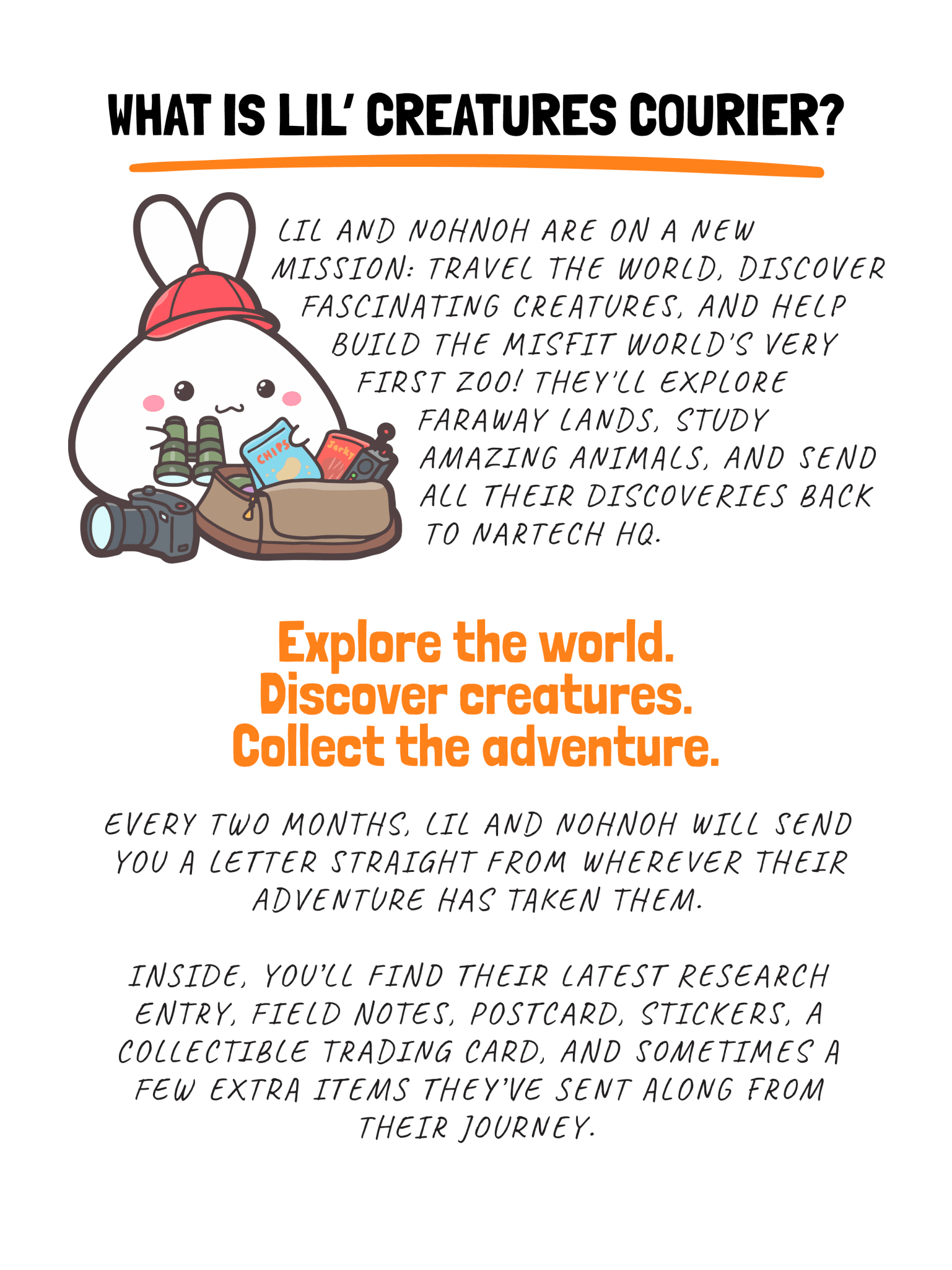 Lil' Creatures Courier Mail Club - SumLilThings