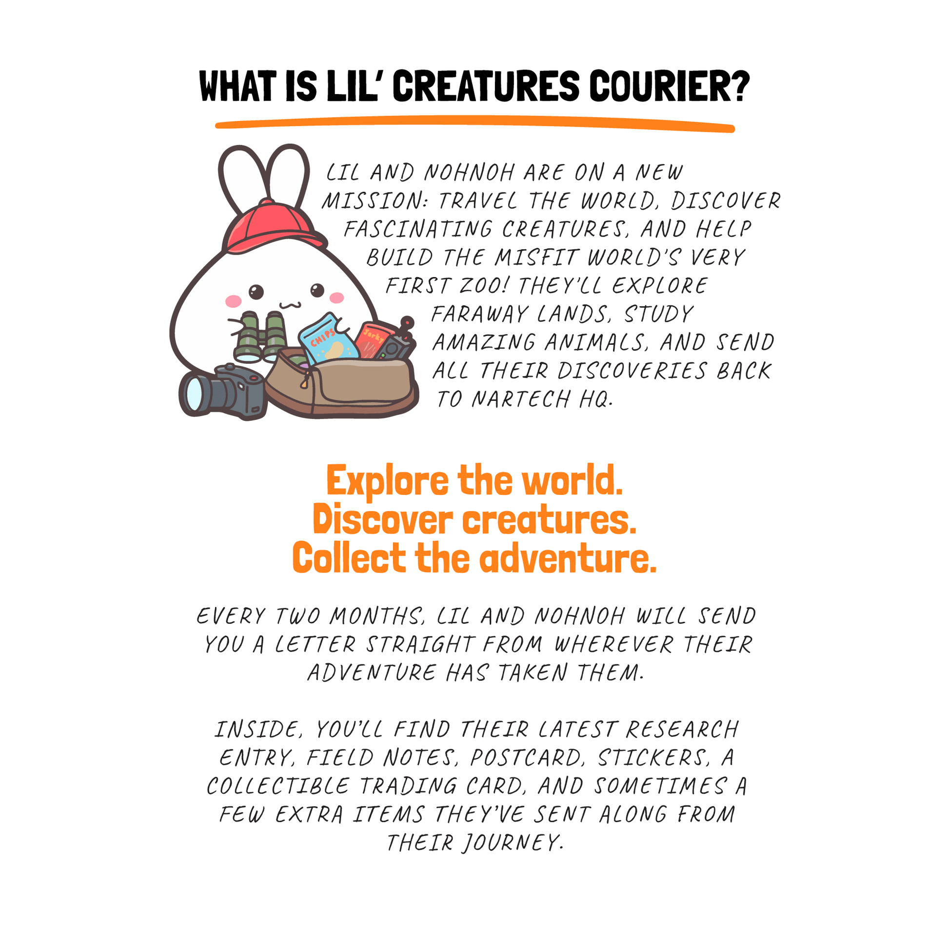 Lil' Creatures Courier (USA) - SumLilThings