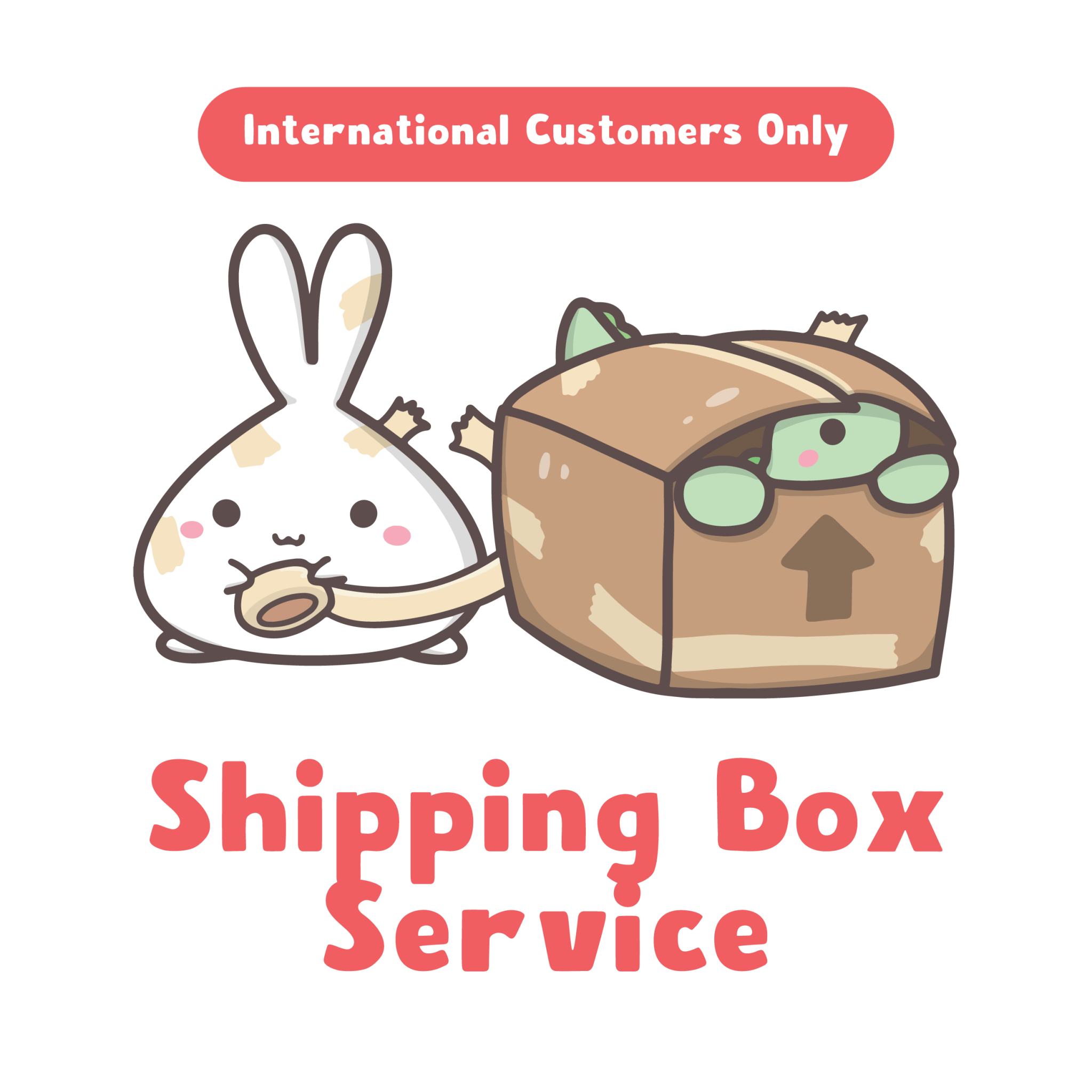 Shipping Box Service (INTERNATIONAL CUSTOMER ONLY) - SumLilThings