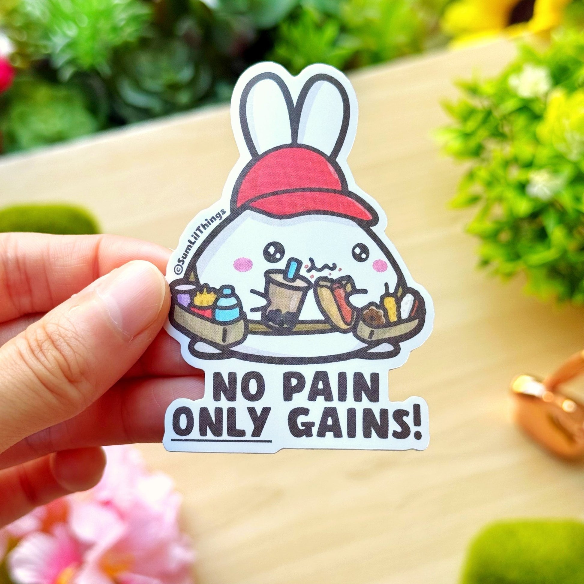 Vinyl Sticker - No Pain Only Gains! - SumLilThings