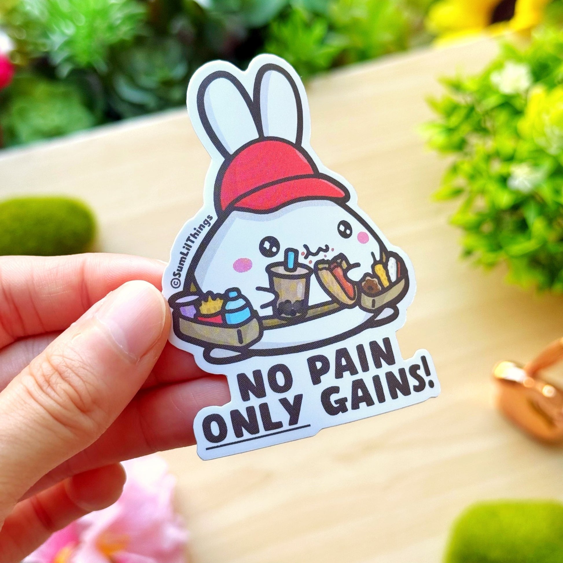 Vinyl Sticker - No Pain Only Gains! - SumLilThings