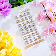 Seal Sticker - Lil' Cinnamon's Toys - Transparent - SumLilThings